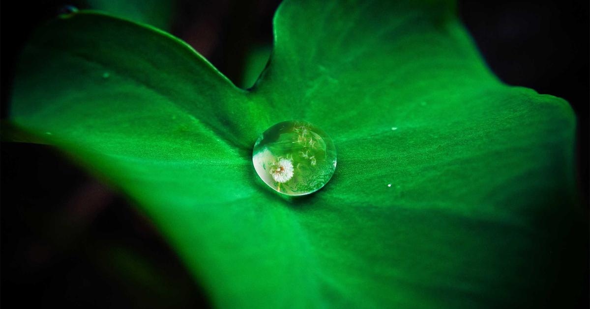 Technical Blogging on Medium: India Guide