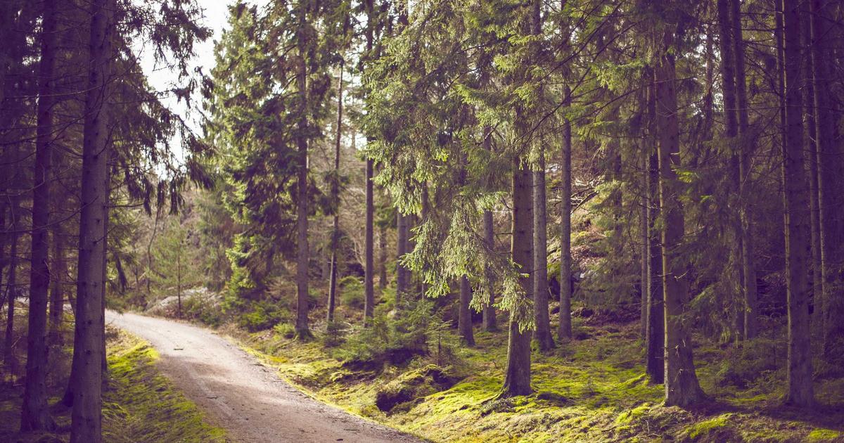 Terraform for Indian DevOps Beginners (2026)