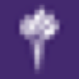 New York University (via Coursera)